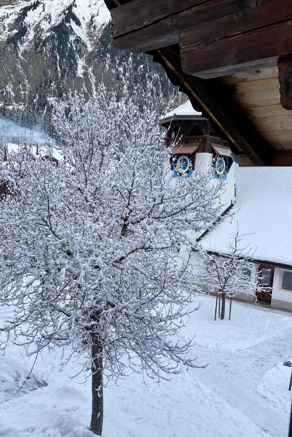 Familienferien Im Chalet Baergli Kandersteg Exterior foto
